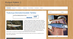 Desktop Screenshot of mucahitt.com